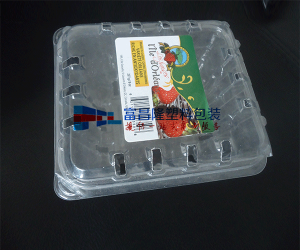 河北水果对折吸塑包装盒